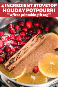 Holiday Stovetop Potpourri (with FREE printable tag) • Domestic Superhero