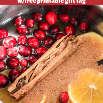 Holiday Stovetop Potpourri (with FREE printable tag) • Domestic Superhero